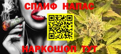 скорость Будённовск