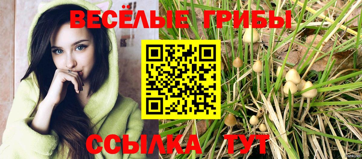 Галлюциногенные грибы GOLDEN TEACHER Тейково