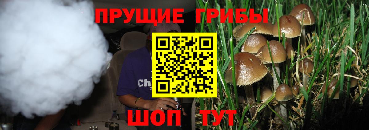 Псилоцибиновые грибы ЛСД  где купить наркотик  Галлюциногенные грибы Cubensis  Тейково  Вход с VPN 